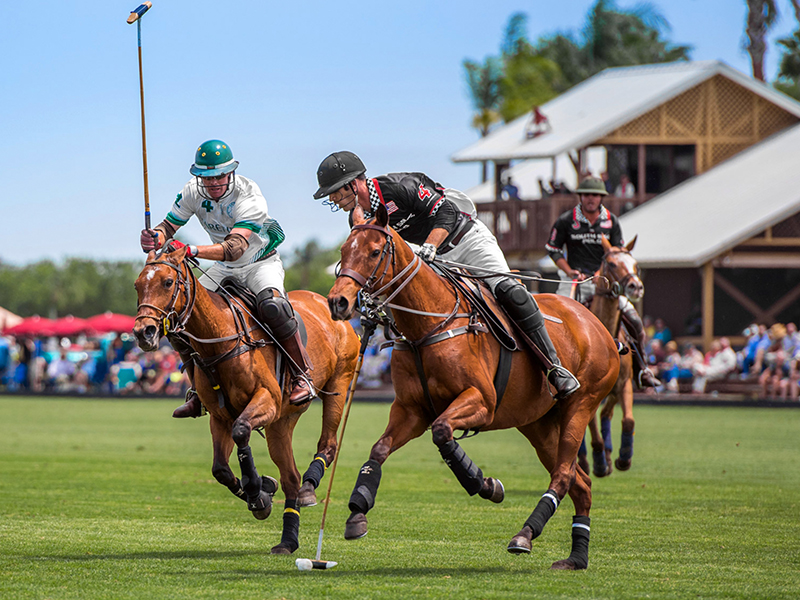 Polo at the Ranch
